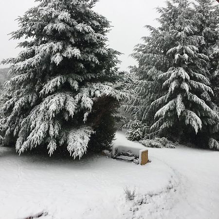 Terrazas Del Lopez Villa San Carlos de Bariloche Eksteriør billede